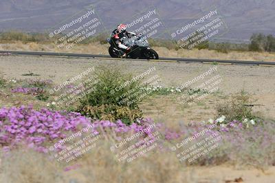 media/Feb-04-2023-SoCal Trackdays (Sat) [[8a776bf2c3]]/Turn 15 Inside Blooming (1050am)/